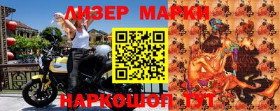СК Новозыбков