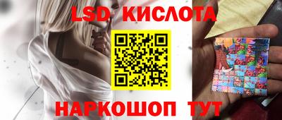 СК Новозыбков