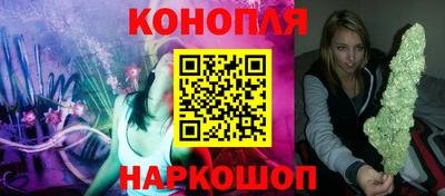 СК Новозыбков