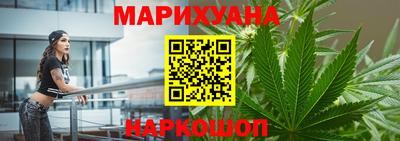 СК Новозыбков