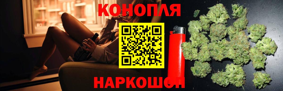 Каннабис ГИДРОПОН Тосно